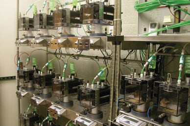 Graphic of 16-chamber Comprehensive Laboratory Animal Monitoring System (CLAMS)